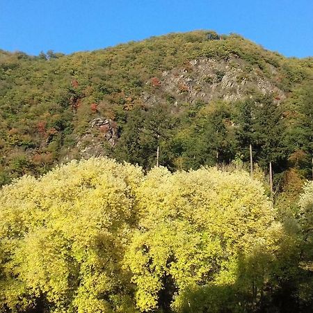 Gaestehaus Viktoria Bad Bertrich Kültér fotó