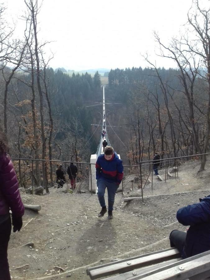 Gaestehaus Viktoria Bad Bertrich Kültér fotó