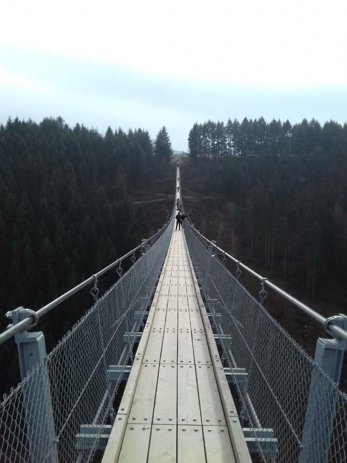 Gaestehaus Viktoria Bad Bertrich Kültér fotó